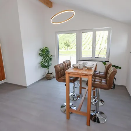 Penthouse-wohnung I 100 Qm I Blick Auf Weinreben I Nespresso I Emma Matratzen 公寓 奥根